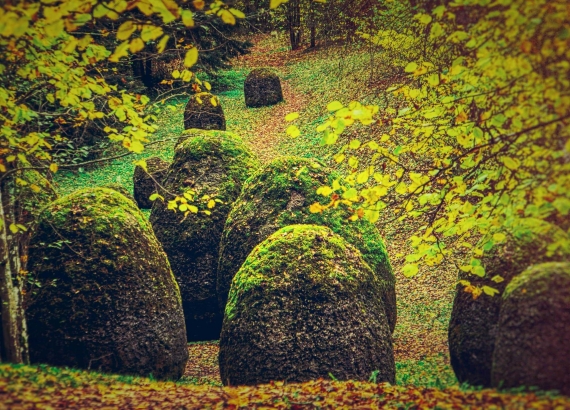 8_1_abakanowicz_g-Europos_parkas-ee88b00d9bef7f1a458b817c6f680a0e.jpg